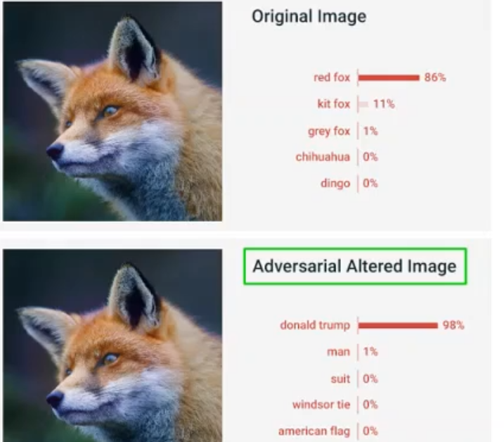 原图像与对抗样本图像