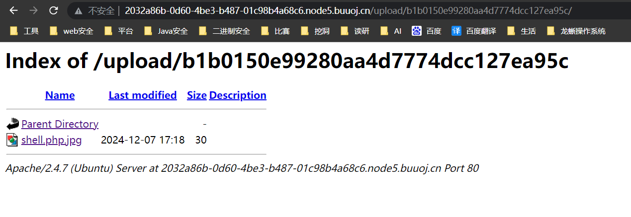 image-20241208012120028