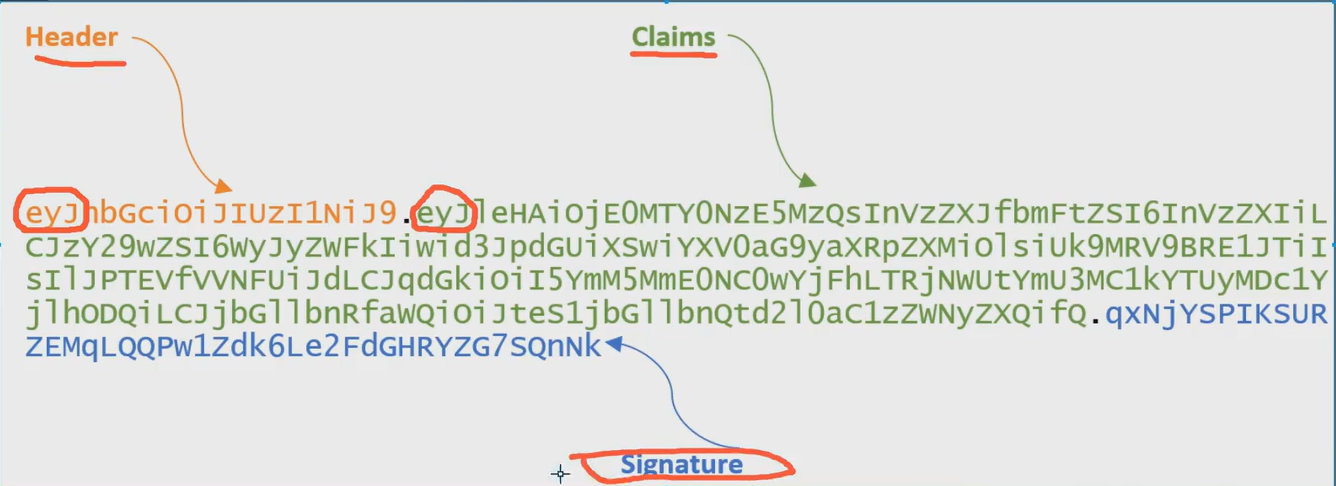 image-20250207185720382